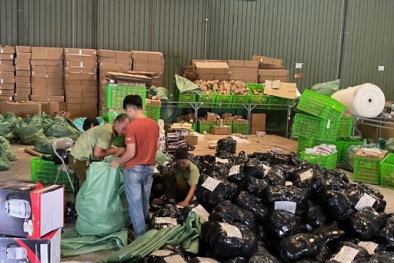 6 tháng, xử lý hơn 75.000 vụ buôn lậu, gian lận thương mại