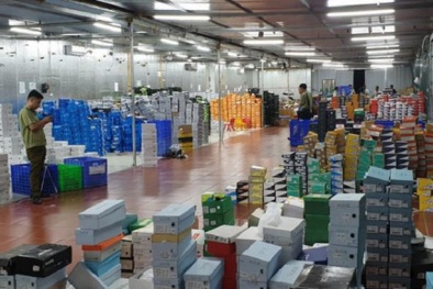 Vì sao kho hàng lậu thu 649 tỷ đồng tồn tại suốt 2 năm mới bị phát hiện?