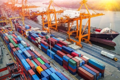 Chuyển đổi số mở ra cánh cửa mới cho doanh nghiệp xuất khẩu