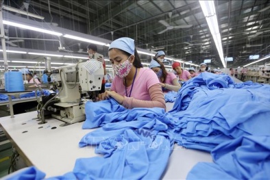 Nắm bắt cơ hội phát triển ngành dệt may và da giày
