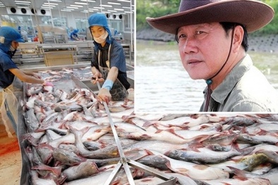 Vì sao cổ phiếu Thuỷ sản Hùng Vương bị huỷ niêm yết bắt buộc?
