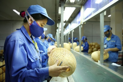 Dịch Covid-19 khiến số vốn đăng ký thành lập doanh nghiệp giảm