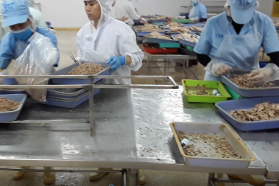 Triển khai thành công các công cụ cơ bản của Lean (5S và Kaizen) tại công ty chuyên về chế biến thủy hải sản