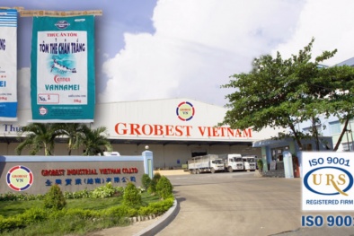 Công ty TNHH Grobest Industrial (Việt Nam) bị phạt gần 250 triệu đồng