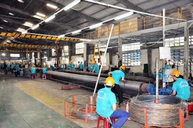 Đáp ứng đầy đủ tiêu chuẩn quốc tế nhờ đầu tư cải tiến