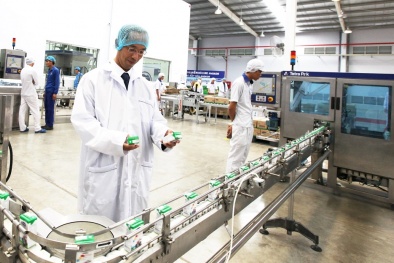 Giải pháp thúc đẩy năng suất lao động tại Việt Nam