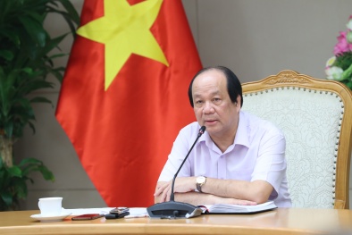 Gỡ khó cho doanh nghiệp trong thực hiện Nghị định 40