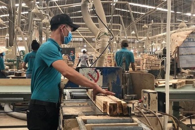 MDF VRG Quảng Trị: Đổi mới công nghệ, nâng cao năng suất sản xuất