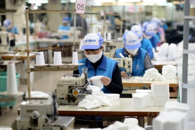 Hà Nội: Ứng dụng KH&CN để nâng cao năng suất lao động tại doanh nghiệp