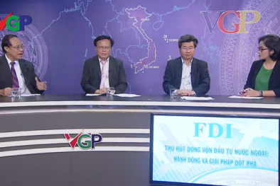 Thu hút vốn FDI- Cần thiết kế những gói chính sách mang tính chất 'may đo'