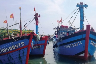 Tàu cá vi phạm vùng khai thác vẫn tái diễn, khó gỡ thẻ vàng IUU