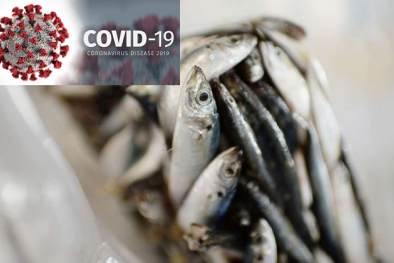 Trung Quốc phát hiện Covid-19 trên bao bì gói cá hố đông lạnh, cẩn thận khi nấu thức ăn