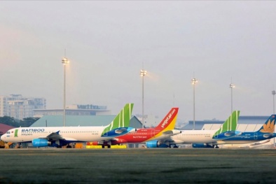 Tăng tần suất bay, các hãng hàng không đứng dậy sau đại dịch