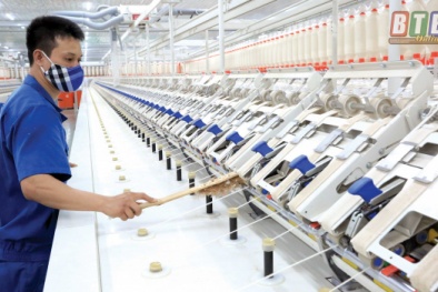 Doanh nghiệp phải tự cứu mình trước khi được cứu