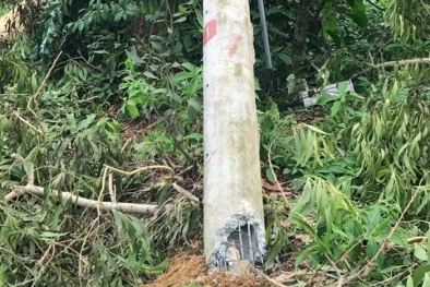 Bộ Xây dựng chỉ ra nguyên nhân khiến cột điện ở Huế bị gãy đợt mưa bão số 5