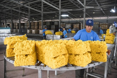 Công ty Cao su Tân Biên: Hiệu quả trong sản xuất nhờ áp dụng TPM