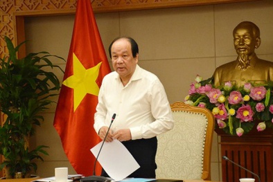 Kiểm tra chất lượng, an toàn hàng hóa nhập khẩu: Cải cách tạo thông thoáng, hỗ trợ doanh nghiệp