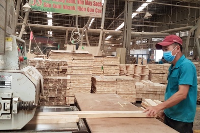 Cảnh báo rủi ro thương mại đối với các sản phẩm ngành gỗ