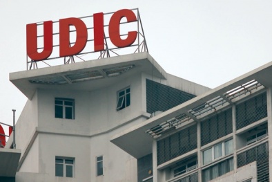 Nhiều công ty thành viên UDIC thuộc diện giám sát đặc biệt