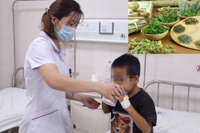 Trẻ nguy kịch vì bỏ liệu trình của bác sĩ để uống thuốc nam điều trị thận hư