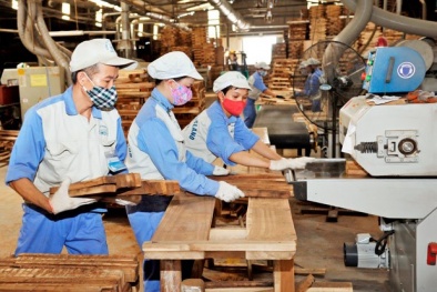 Cảnh báo gian lận xuất xứ đối với một số sản phẩm ngành gỗ