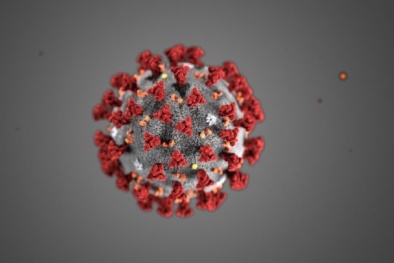 Mắc cúm và virus corona cùng lúc làm tăng nguy cơ tử vong