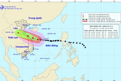 Dừng các cuộc họp không cẩn thiết, tập trung ứng phó khẩn cấp bão số 13