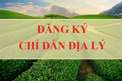 Để được bảo hộ chỉ dẫn địa lý, cần đáp ứng những điều kiện nào?