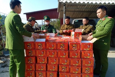 Nhập lậu hàng hóa: Tập kết lượng lớn hồng quả sấy dẻo Trung Quốc chờ tiêu thụ dịp Tết