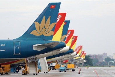 Tết Tân sửu: Hàng không mỗi ngày có 1.200 chuyến bay phục vụ khách
