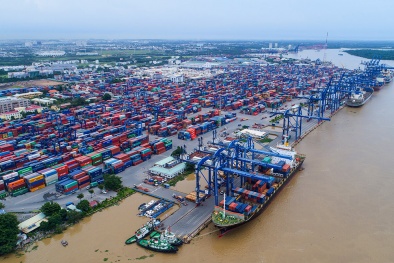 Dịp Tết, cảng Tân cảng - Cát Lái xuất nhập khẩu hơn 1 triệu tấn hàng hóa