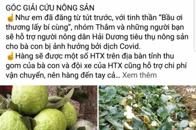 Cộng đồng mạng kêu gọi giải cứu nông sản Hải Dương bị dồn ứ do dịch Covid-19