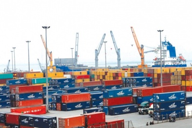 Việt Nam vào tốp đầu Chỉ số Logistics thị trường mới nổi