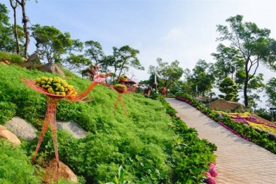Đi Tây Ninh có gì hay mà dạo này dân tình lại rủ nhau check-in rần rần thế?
