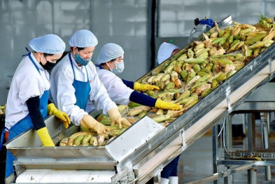 Hiệp định UKVFTA chính thức có hiệu lực từ 1/5/2021