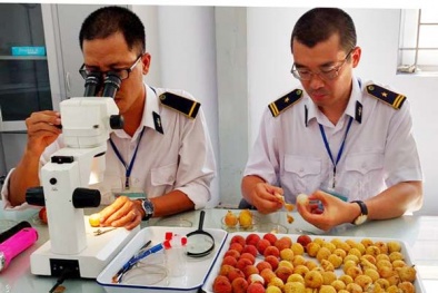 Khuyến khích doanh nghiệp đầu tư trung tâm chiếu xạ thực phẩm đáp ứng tiêu chuẩn quốc tế