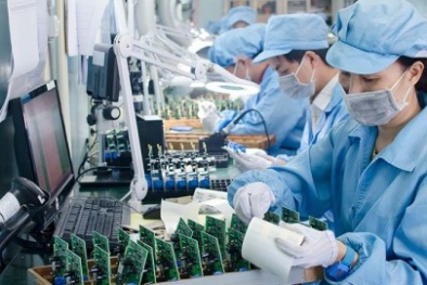 Bình Thuận: Hỗ trợ doanh nghiệp nâng cao năng suất và chất lượng sản phẩm, hàng hóa