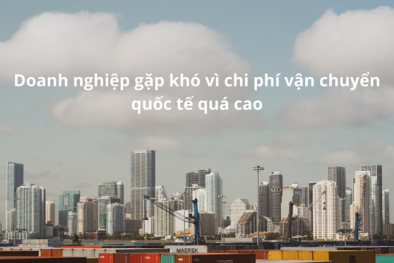 Lợi nhuận DN xuất khẩu tăng nhờ chi phí vận chuyển quốc tế giảm đến 50%