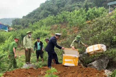Da và nội tạng trâu bò đã bốc mùi hôi thối vẫn cố tình vận chuyển đi tiêu thụ