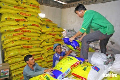 Hơn 3.000 tấn phân bón Phú Mỹ trị giá hơn 30 tỷ tặng bà con nông dân