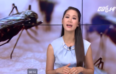 Mẹo đơn giản, an toàn để không bị muỗi đốt ai cũng phải biết
