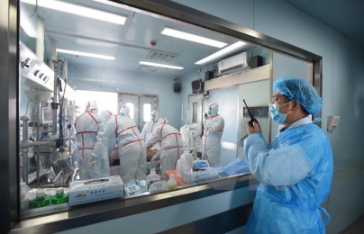 Một người chết vì cúm H7N9 ở Trung Quốc: Cục Thú y Việt Nam cảnh báo nguy cơ lây lan cao