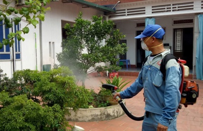 Phun thuốc không đúng, muỗi gây sốt xuất huyết có thể 'khỏe lên'
