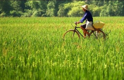 ‘Bỏ túi’ kinh nghiệm du lịch Mai Châu Hòa Bình giá rẻ cho năm 2018