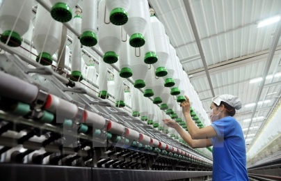 Doanh nghiệp chưa thực sự là động lực tăng trưởng năng suất lao động
