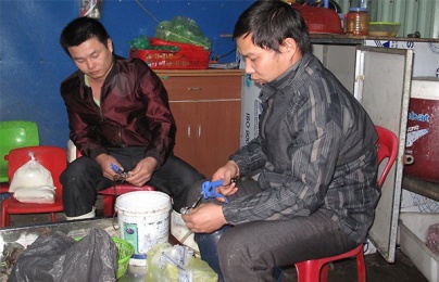 Hải Phòng: Bắt quả tang cơ sở bơm tạp chất vào tôm cung cấp cho nhà hàng