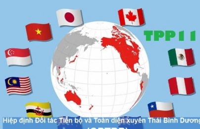 CPTPP có hiệu lực, nhiều mặt hàng có thuế nhập khẩu về 0%
