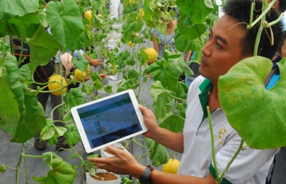 Đẩy mạnh đổi mới sáng tạo giúp nâng cao năng suất chất lượng nông nghiệp Việt Nam