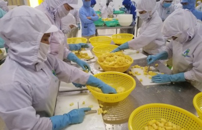 Xây dựng nhân lực, tạo nền tảng phát triển với mô hình Nhóm huấn luyện –TWI