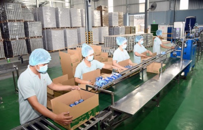 Đề xuất xét tặng Giải Vàng GTCLQG cho 2 doanh nghiệp tỉnh Bến Tre